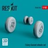 RESKIT RS48-0536 Fairey Gannet wheels set (3D Printed) 1/48
